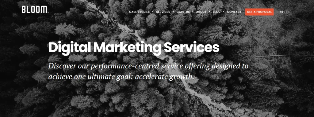 BLOOM - Google Ads agency for med spas in Toronto.